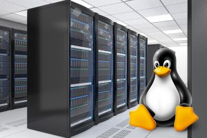 Linux Sunucu Güvenliği