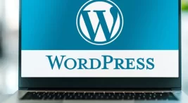 WordPress-guncel-ping-servisleri