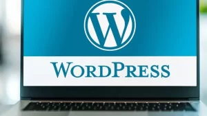 WordPress-guncel-ping-servisleri