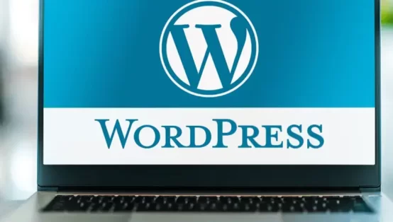 WordPress-guncel-ping-servisleri