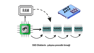 Trim Nedir Trim Atılmış SSD veri Kurtarılırmı