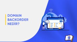 Domain Backorder Nedir?