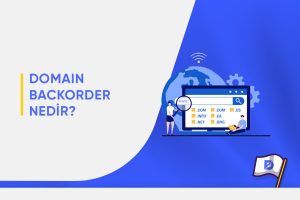 Domain Backorder Nedir?