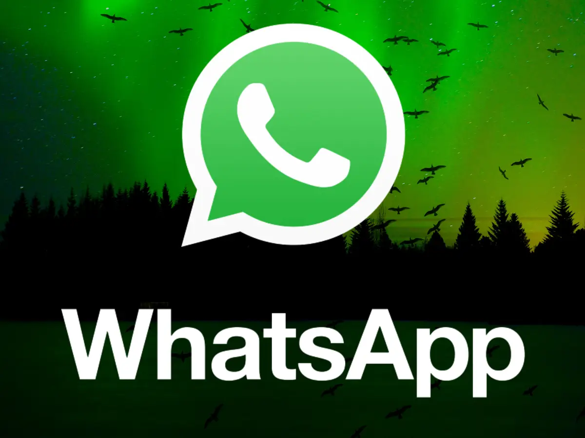 WhatsApp Business Nedir, Nasıl Hesap Açılır?