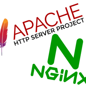 Nginx ile Apache Arasında Fark Nedir? Hangisini Kullanmalıyız?